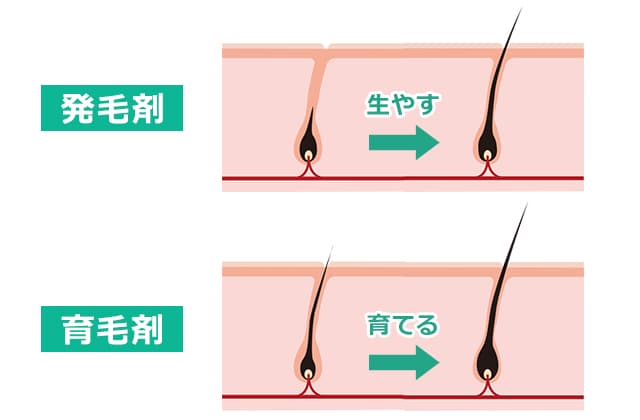 発毛剤と育毛剤の違いは「生やす」か「育てる」か