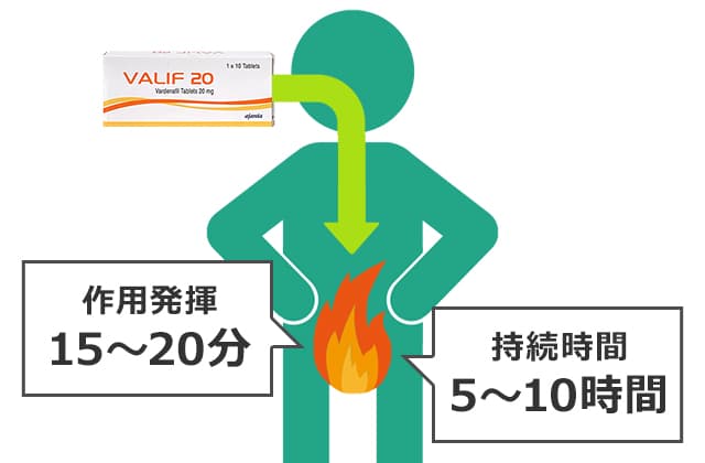 バリフは作用発揮まで15～20分、持続時間は5～10時間