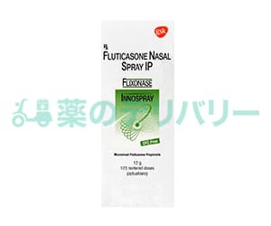 フルナーゼ点鼻薬