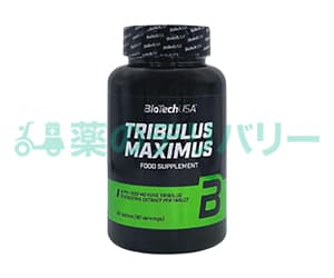 トリビュラスマキシマス